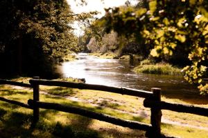 Wood Land Liswarta domki w drzewach