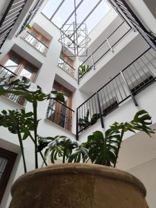 El Jazmín del Patio
