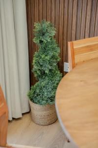 2BR Luxurious Apt On Top Floor in Alef AlMamsha