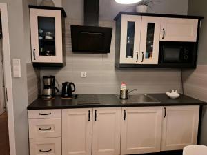 Kopernik-us 2 rooms - Old Town