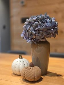 Chałupka Apartament 2