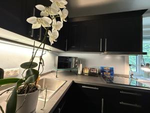 Villa Komposch - adults only