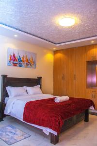 Urban Haven Apartments