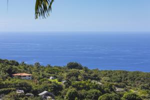 Kona Coffee Villas E246 condo