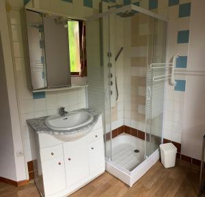 Chalet 14 personnes avec jardin