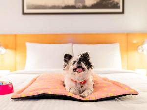 ibis Chennai Sipcot - An Accor Brand