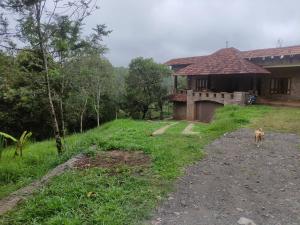 Misty Views Mountain Retreat