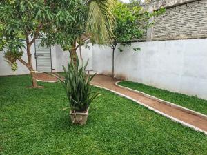 Samara Beach Stay