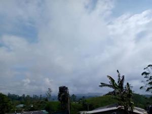 Argyle Rock Bungalow