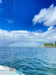 Passeio com o Veleiro Ventão