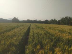 Sai Samata Lodging Boarding