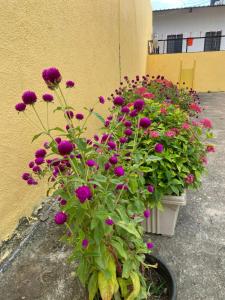 Sai Samata Lodging Boarding