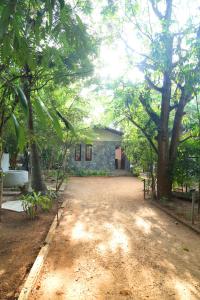Eden Bliss Retreat
