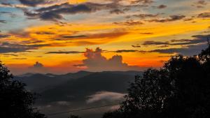 Makot at Binsar