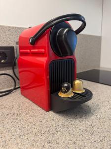 Amber Circle Apartment Palanga