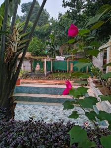 Jhargram Jhumur Camp Homestay