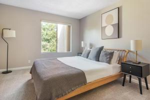 Blueground Campbell pool nr Campbell Park SFO-1945