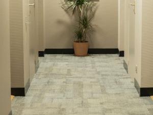 ibis Styles St Gilles Croix de Vie centre-ville