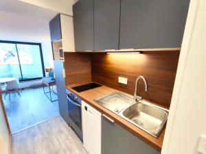 Appartement Rénové 2P avec Balcon Sud, Front de Neige, au Pied des Pistes - FR-1-292-64