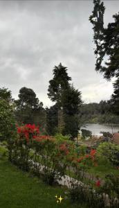 Lux Lake View Aframe - Skyframe