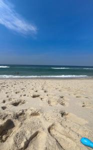 Ape Conforto Barra com Praia, Verão, Riocentro, Rock in Rio e Eventos