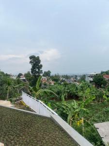 Villa Falenia City View Family Only