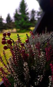 4Rest&Fun Krušné hory