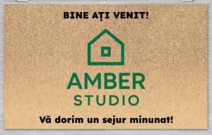 AMBER Studio