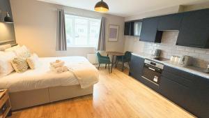 The Willow - Studio 20