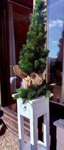 Surkis Loggia an der Sonne