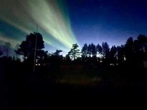 Arctic Shaman Adventures -Jurtta