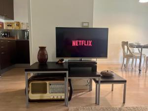 Penthouse Arno river