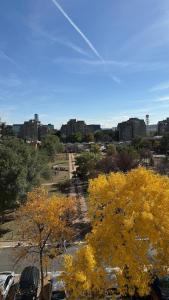 Arena public FREE parking in front of building