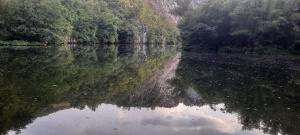 APARTMAN studio DADO