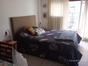 STUDIO AVENIDA