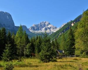 Cassa Midas by the forest 