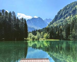 Cassa Midas by the forest 