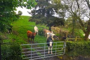 Apartment - Sleeps 2 - Wood Fire - Parking