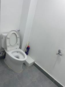 野猴子青旅Wild Monkey Hostel