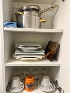 Newly Renovated Stylish & Spacious Studio