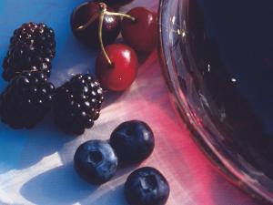 Mercure Leonardo da Vinci Rome Airport