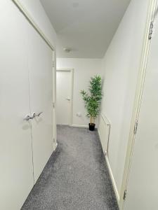 The CityLive CoOp Arena Apartment