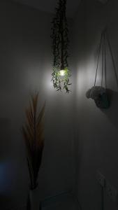 Elegant studio next to the boulevard