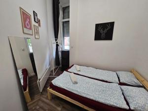 Urban Nomad Rooms and Hostel in City Center