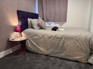 Bittern Lodge Homestay with Free Parking & Parking for cruise available, Full access to kitchen in Southampton