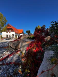 Csató Panzió - Pensiunea Csató