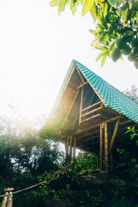 Glamping Villa Pedregal