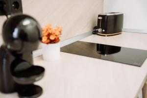 Cozy Apartament Sibiu