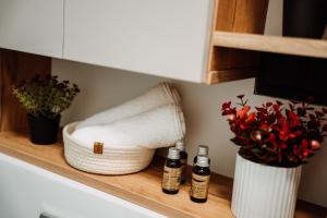 Cozy Apartament Sibiu