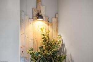 Luxury Plymouth Work & Stay House